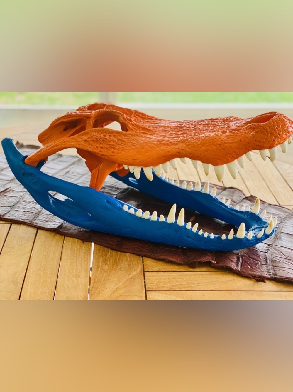 Real Florida Gator UF Fans  🐊 Handmade is USA price reflects extra shipping